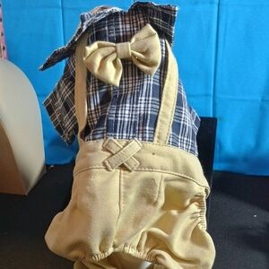 Small Boy Dog Outfit